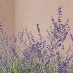 Hotel Hotel Santa Fe