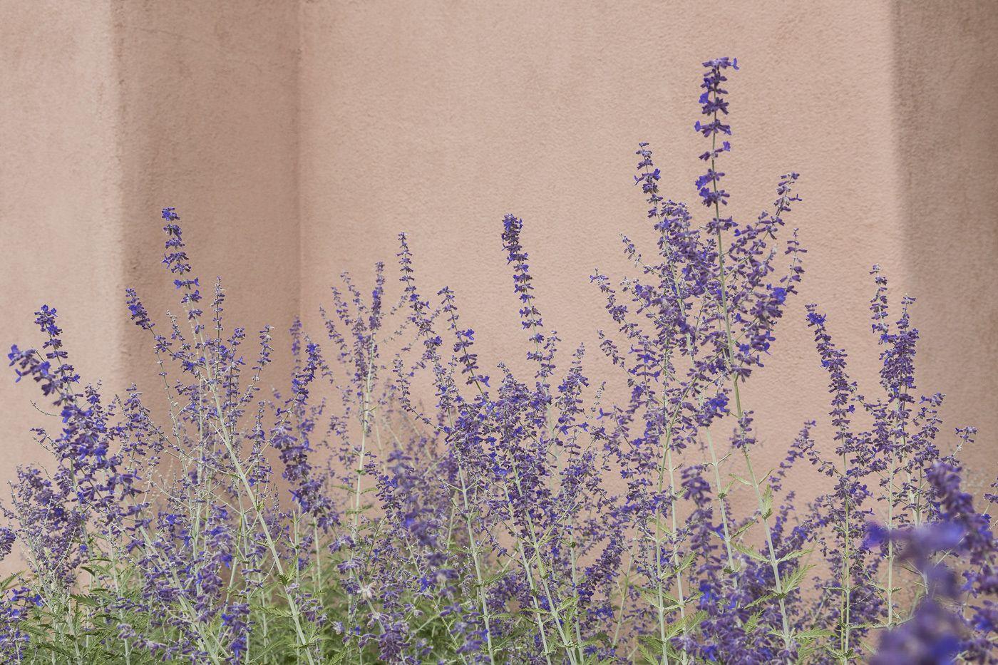 Hotel Hotel Santa Fe